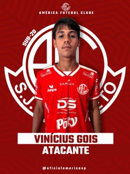 Vinícius Gois