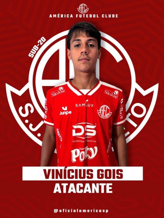 Vinícius Gois